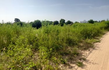 NGAPAROU : Terrain constructible de 4 008 m2 à vendre