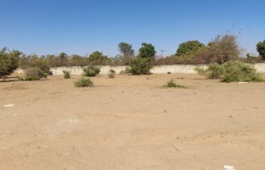 NGAPAROU : Terrain constructible de 4 008 m2 à vendre