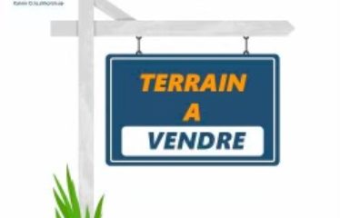 SALY : Terrain 1000 m² à vendre