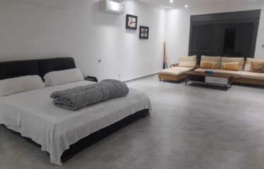 NGUERIGNE : Villa contemporaine R+1 avec piscine à vendre