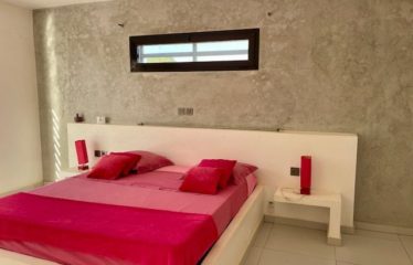 SOMONE : Belle villa contemporaine à vendre avec piscine