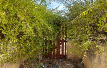 NDANGANE : Terrain pieds dans l’eau bord lagune à vendre