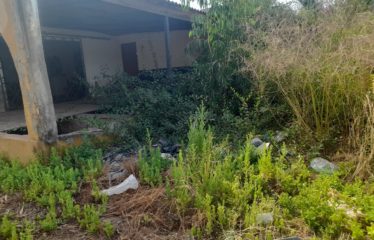 NDANGANE : Terrain de 300 m2 proche plage lagune à vendre