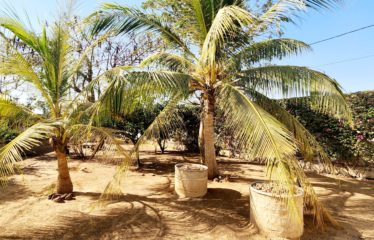 NGUERIGNE : Villa contemporaine à vendre 500 m²