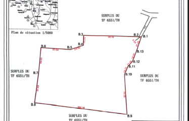 THIES : Terrain clôturé à Zac Nguinth à vendre