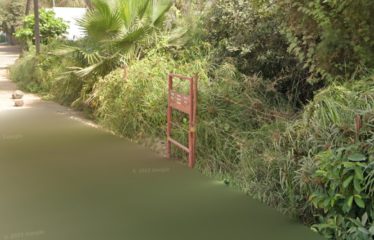 DAKAR ALMADIES : Terrain nu 538 m² à vendre