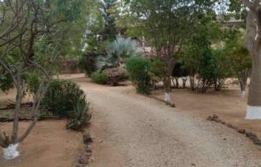 SOMONE : Propriété atypique avec sa villa louisiane sur un terrain de 3 940 m2 à vendre