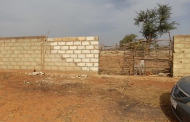 NGUERIGNE : Terrain de 4 200 m2 à vendre