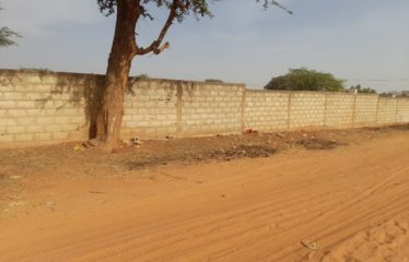 NGUERIGNE : Terrain de 4 200 m2 à vendre