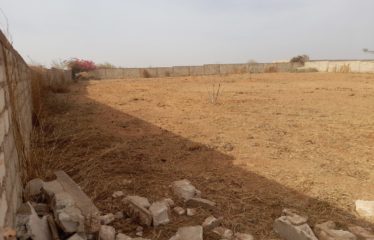 NGUERIGNE : Terrain de 4 200 m2 à vendre