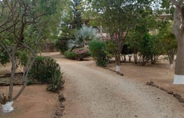 SOMONE : Propriété atypique avec sa villa louisiane sur un terrain de 3 940 m2 à vendre