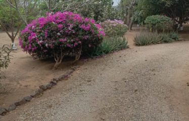 SOMONE : Propriété atypique avec sa villa louisiane sur un terrain de 3 940 m2 à vendre