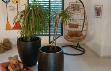 NGUERIGNE : Villa de standing avec piscine à vendre