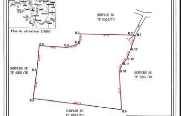 POUT : Terrain de 1,7943 Ha à Thiès Zac Nguinth à vendre