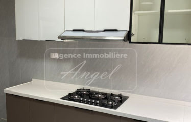 GRAND DAKAR : Appartement neufs à louer en centre-ville