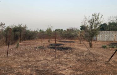 SALY : Terrain de 600 m² à vendre