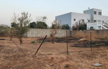 SALY : Terrain de 600 m² à vendre