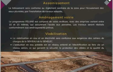 BAMBIOR : Lot de 351 terrains viabilisés de 150 m2 à vendre