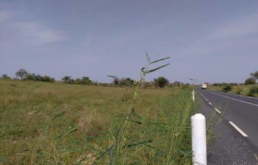 THIEPPE : Terrain de 9 869 m² à vendre