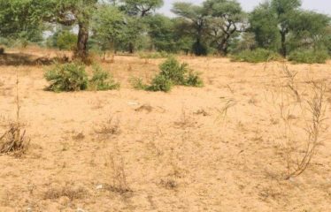 TOUBA TOUL : Terrain de 1,39 hectare à vendre