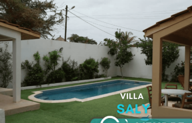 SALY : Maison à vendre 530 m²