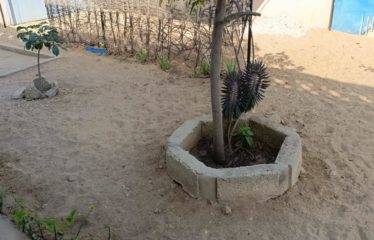 WARANG : Villa 3 chambres à vendre