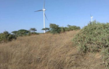 TAÏBA NDIAYE : Terrain de 9706 m² à vendre