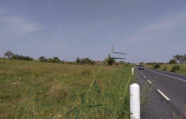 THIEPPE : Terrain de 9 869 m² à vendre