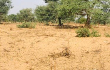 TOUBA TOUL : Terrain de 1,39 hectare à vendre