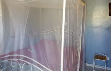 WARANG : Ensemble de 3 cases avec piscine à vendre