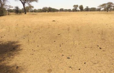 SAGATA : Terrain de 2,11 hectares à vendre