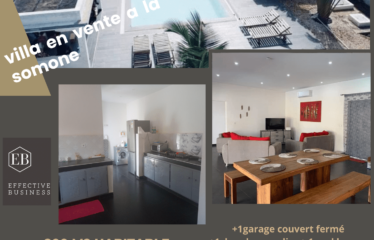 SOMONE : Villa moderne à vendre (de 2019)