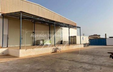 DAKAR THIAROYE : 3 Entrepôts à vendre
