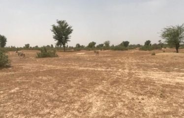 FISSEL : Terrain de 1,60 hectare à vendre