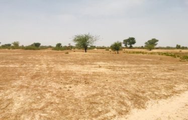 FISSEL : Terrain de 1,60 hectare à vendre