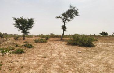 FISSEL : Terrain de 1,60 hectare à vendre