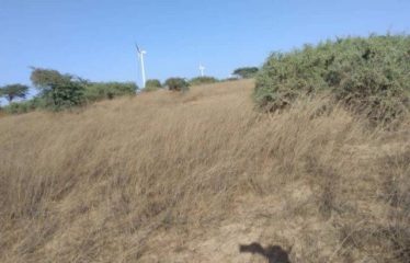 TAÏBA NDIAYE : Terrain de 9706 m² à vendre