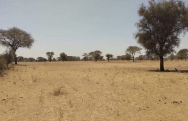 SAGATA : Terrain de 2,11 hectares à vendre