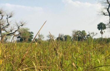 SESSENE : Terrain de 1,02 hectare à vendre