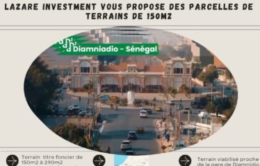 DIAMNIADIO : 395 parcelles à vendre