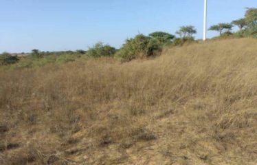 TAÏBA NDIAYE : Terrain de 9706 m² à vendre