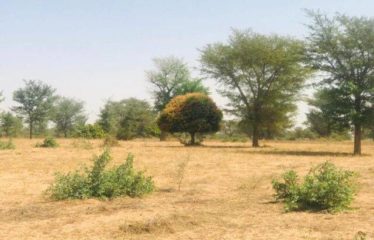 TASSETTE : Verger de 1,86 hectare à vendre