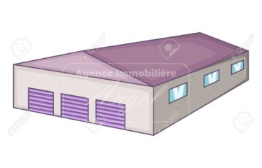 DAKAR CAMBERENE : Hangars à vendre