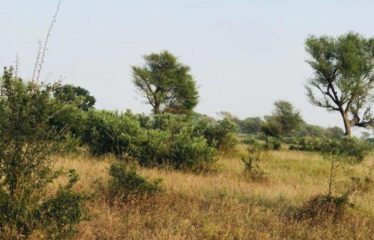 TASSETTE : Terrain de 8 098 m² à vendre