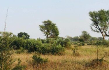 TASSETTE : Terrain de 8 098 m² à vendre